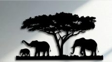 savane