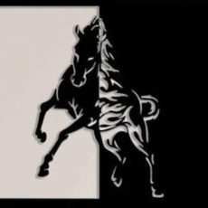 Chevaux