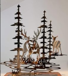 Cerfs et biches 14
