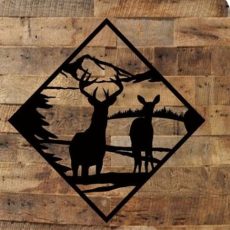 Cerfs et biches 11