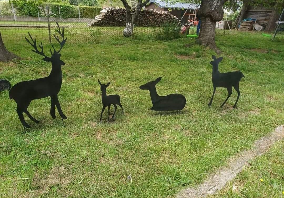 Cerfs et biches 12
