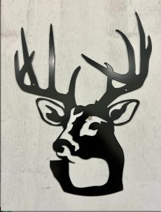 Cerfs et biches 13