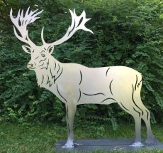 Cerfs et biches 16