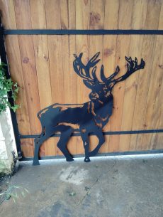 Cerfs et biches 27