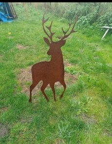 Cerfs et biches 28