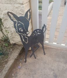 Cerfs et biches 29