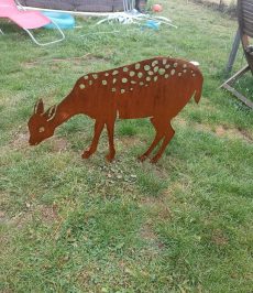 Cerfs et biches 31