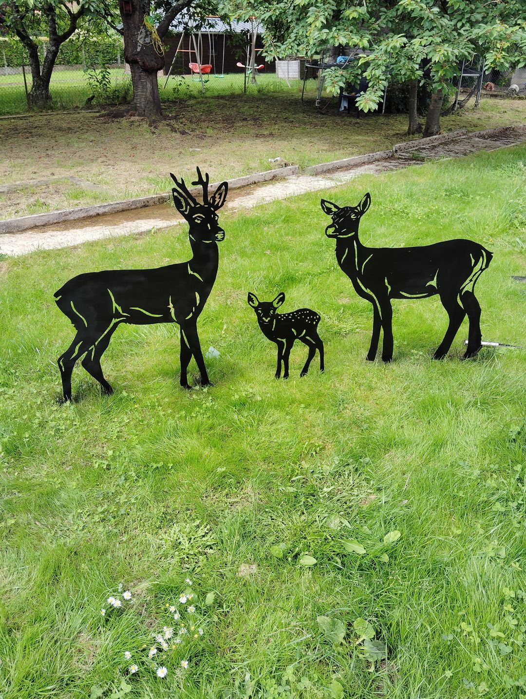 Cerfs et biches 32
