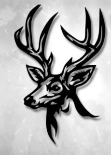 Cerfs et biches 33