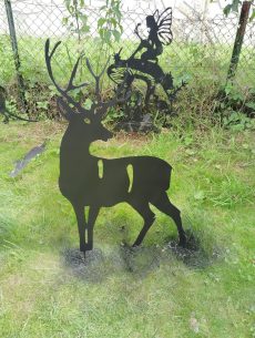 Cerfs et biches 34