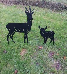 Cerfs et biches 06