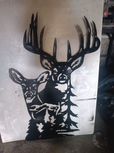 Cerfs et biches 10