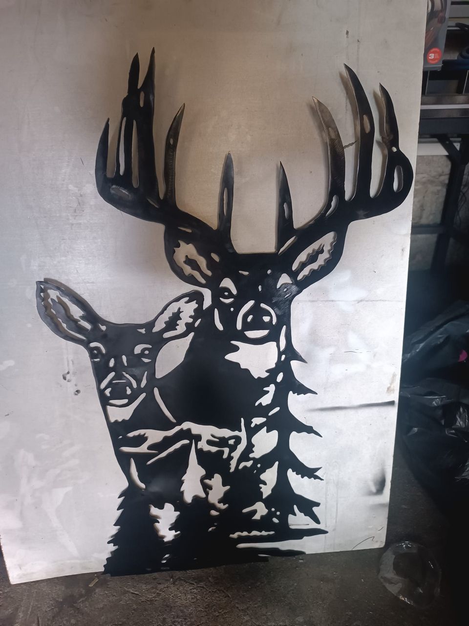 Cerfs et biches 10