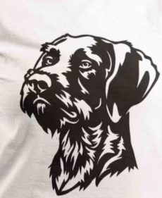 Chien 14