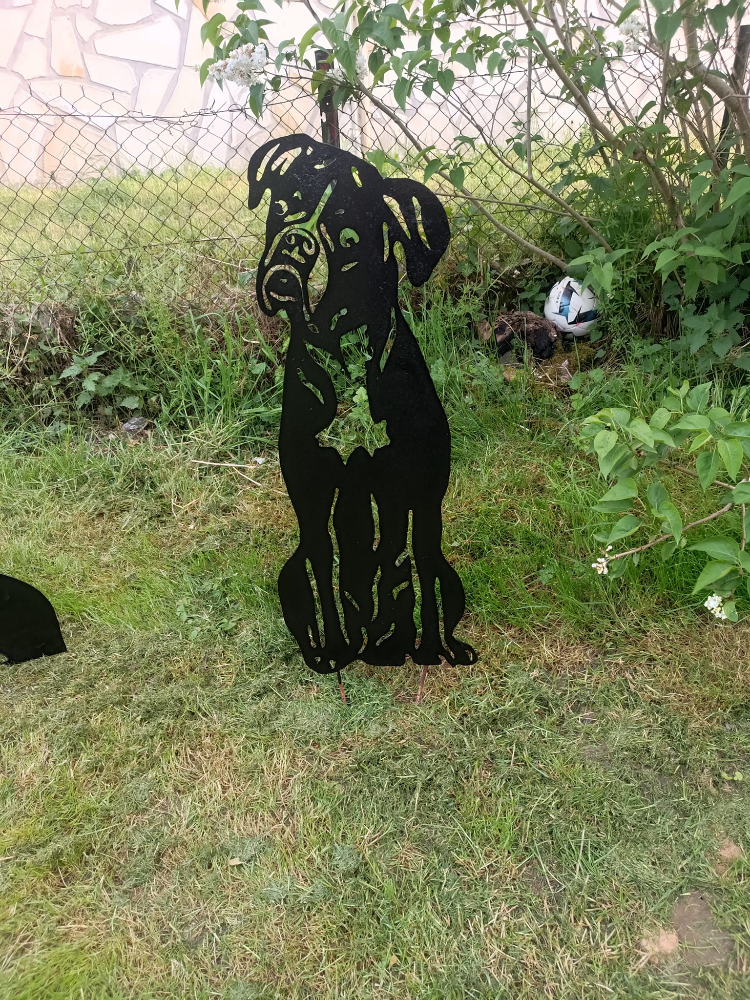 Chien 16
