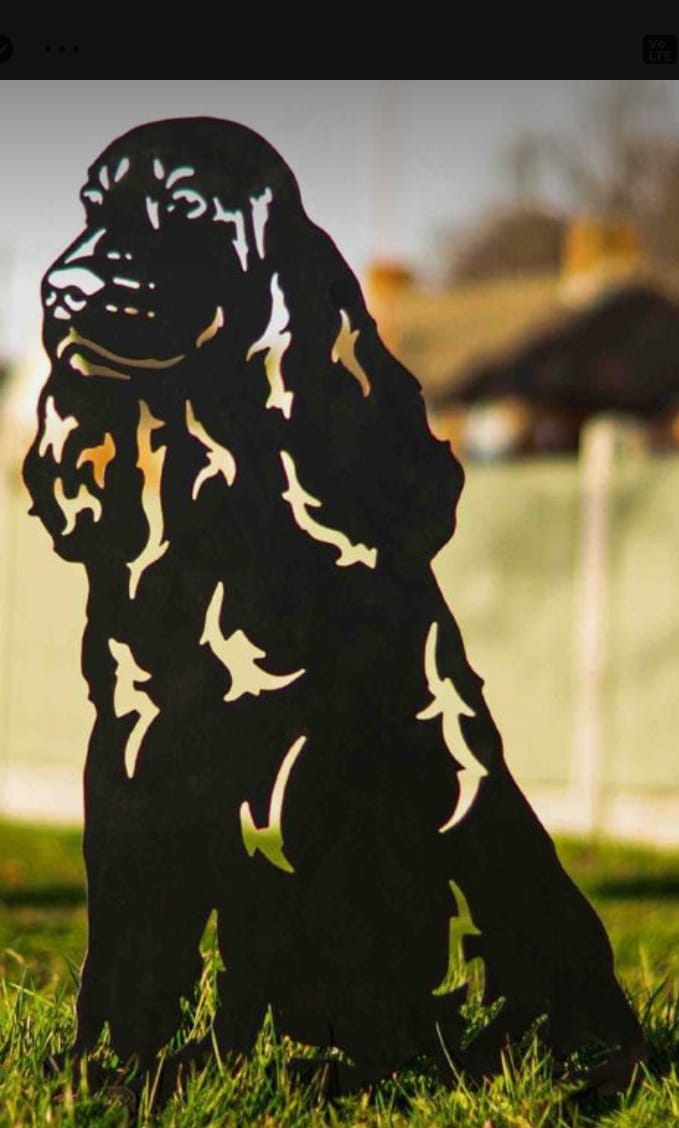 Chien 02