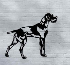 Chien 22