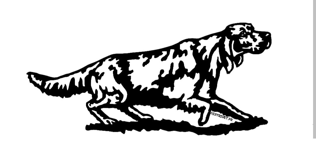 Chien 03