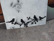 Oiseaux 01