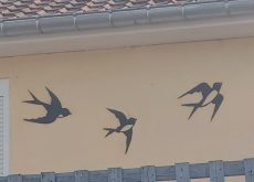 Oiseaux 06